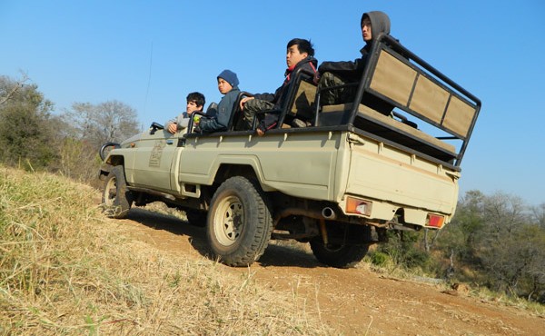 Safari