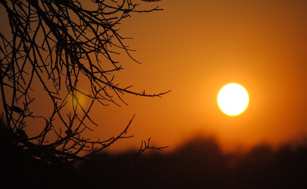 African Sunset