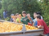 oranges