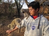 friendly monkey