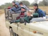 out on safari